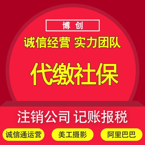 Shenzhen Agency Accounting and Tax Filing: Process, Costs, and Business Registration Services with Translation