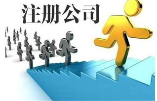 專業(yè)代理記賬收費與翻譯服務(wù)指南