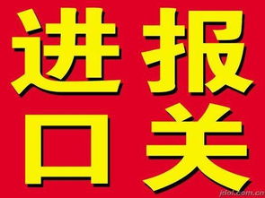 奶粉進口代理服務(wù)全解析 上海瑟維斯進口報關(guān)公司引領(lǐng)專業(yè)通關(guān)與翻譯服務(wù)